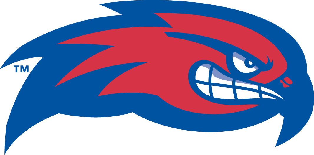 UMass Lowell River Hawks 2005-Pres Partial Logo iron on transfers for fabric